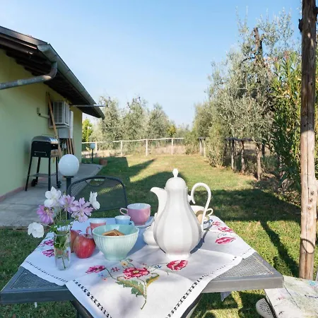 Belvilla By Oyo Il Leccio E Le Rose Holiday home Arezzo